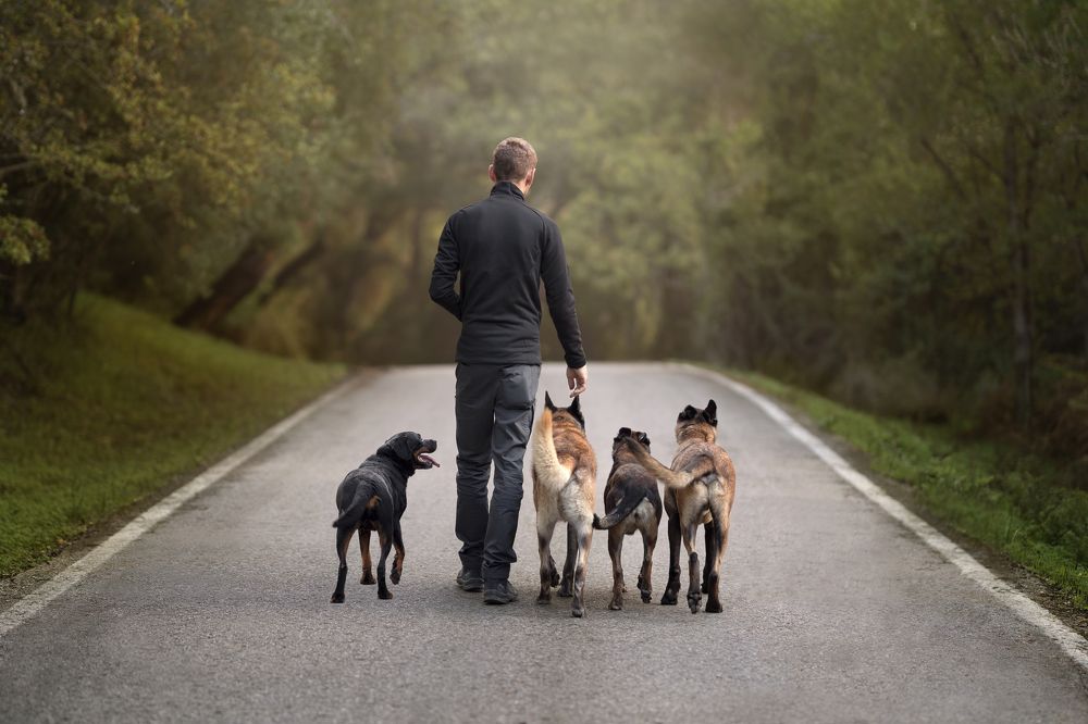 Photograph by Leticia Hernandez