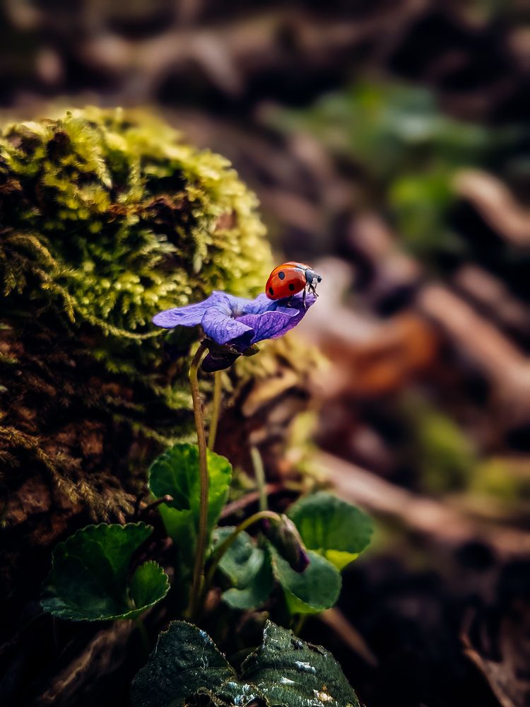 Фотография автора Margarita Naumczyk