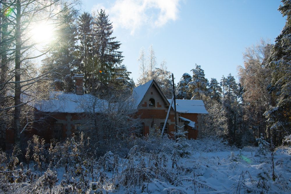 Photograph by Ксения Малютина