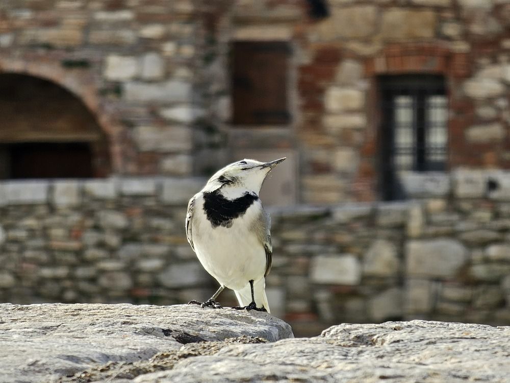 Photograph by Kristina F