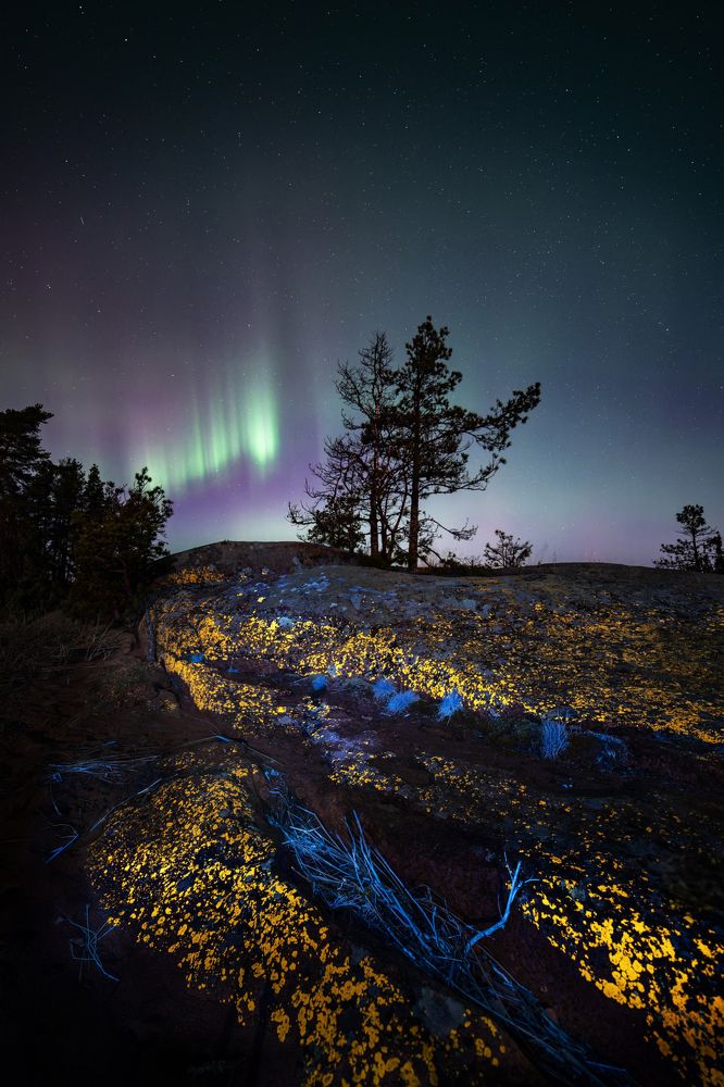 Фотография автора Дарина Соболь