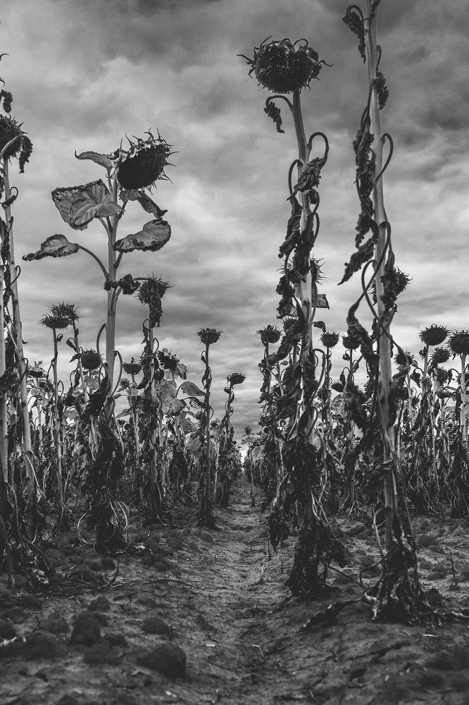 Photograph by Валерий Церковный