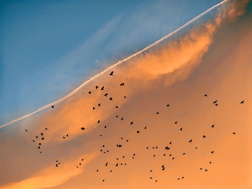 Photograph by Ирина Скворцова