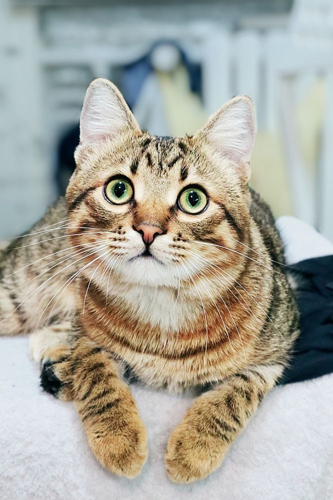 Photograph by Екатерина