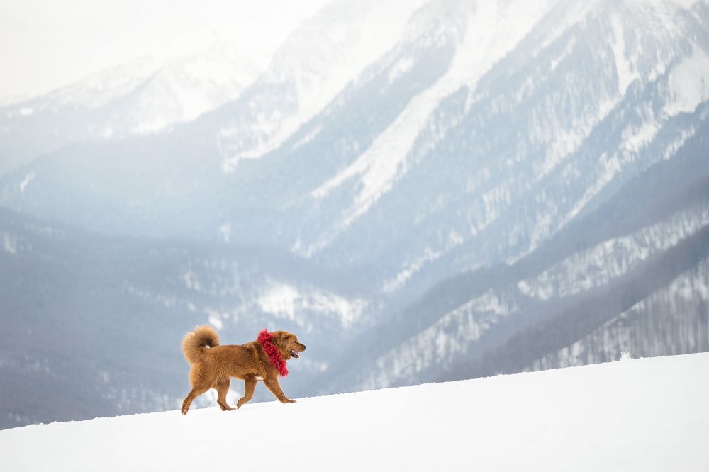 Photograph by Елена Якусева