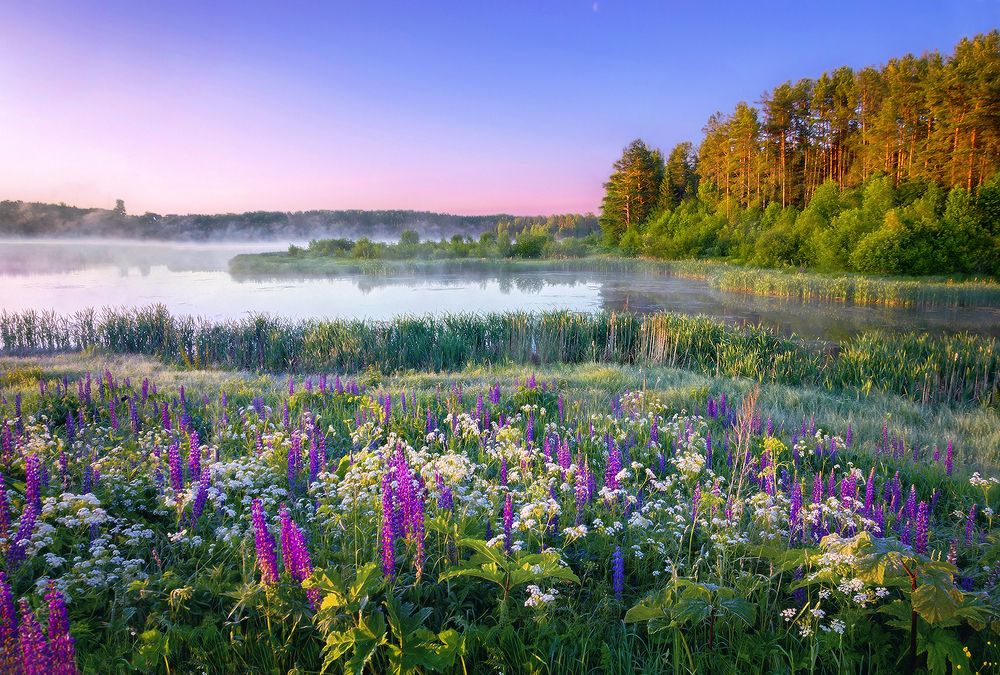 Photograph by Надежда Колеватова