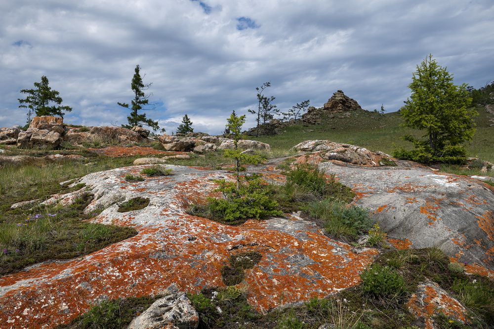 Краски Тажеран.