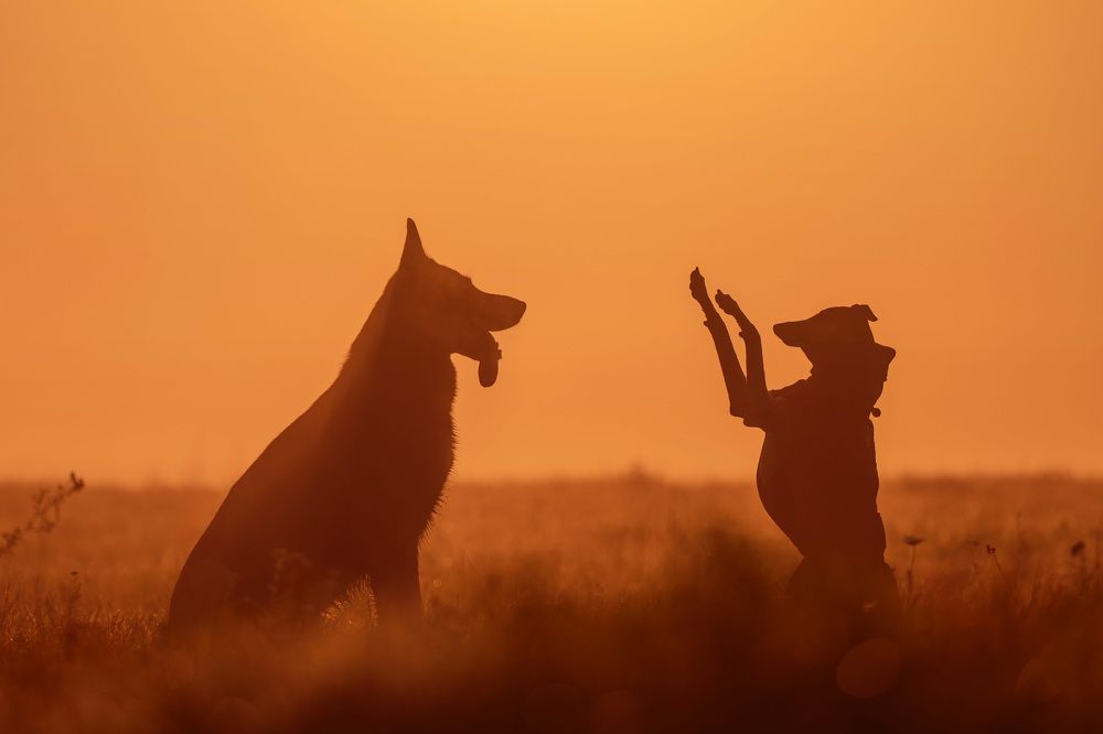 Photograph by Елена Якусева