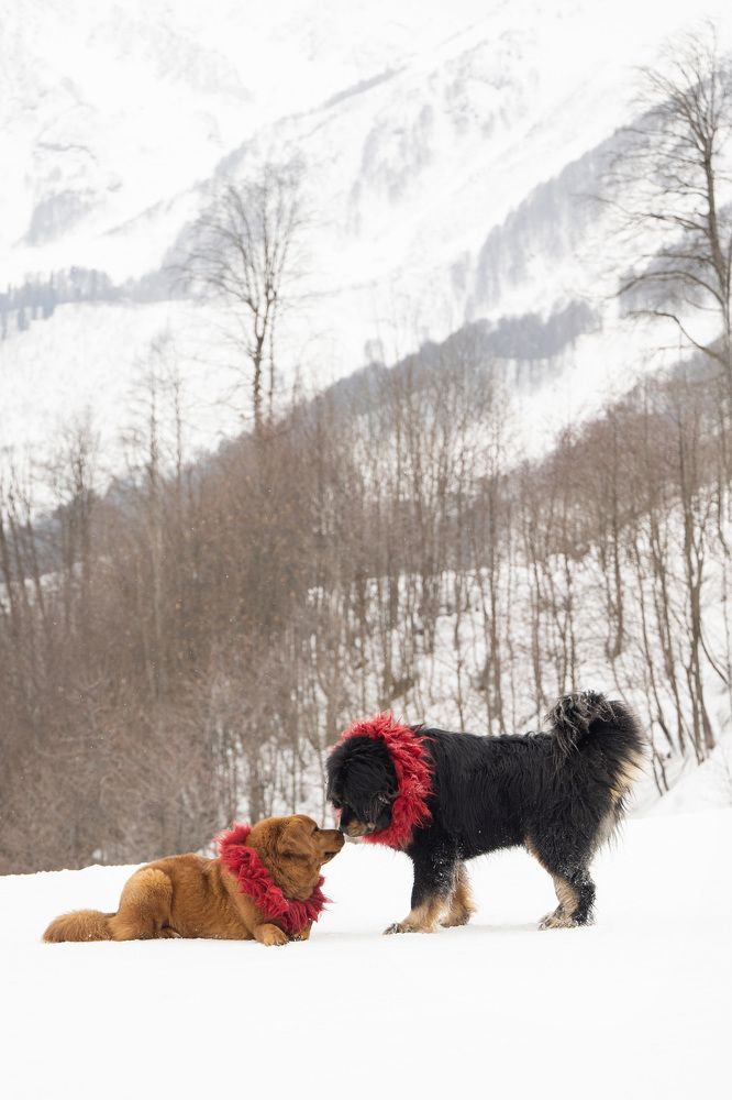 Photograph by Елена Якусева