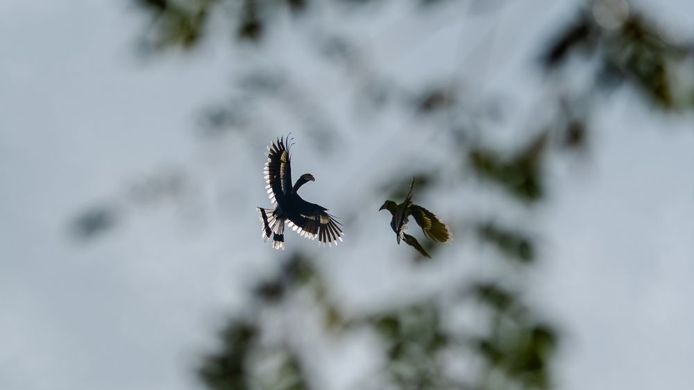 Photograph by Faisal Fasaludeen