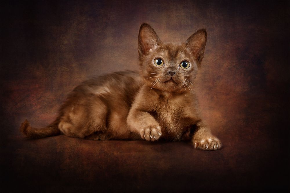 Photograph by Алексей Трифонов