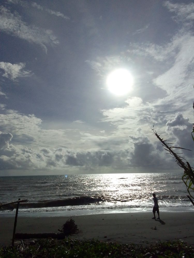 Photo #11747065