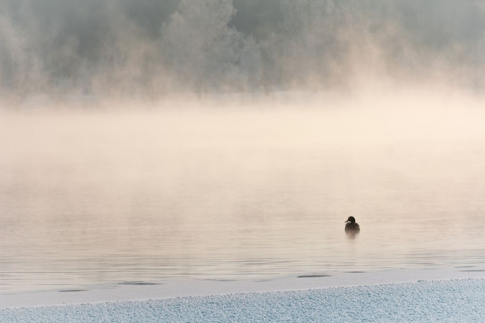 Photograph by Олег Бережных