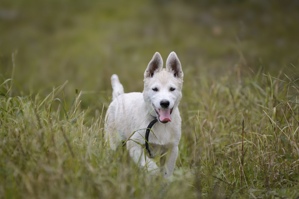 Photograph by Олег Бережных