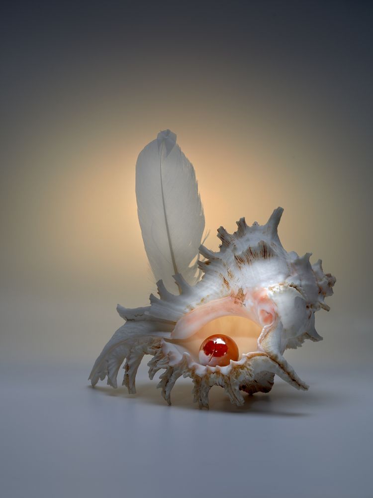 Фотография автора Владимир Борисов