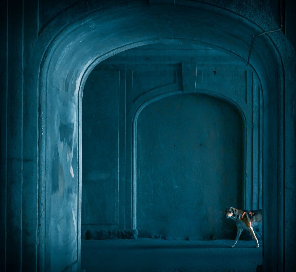 Photograph by Сергей Вальков