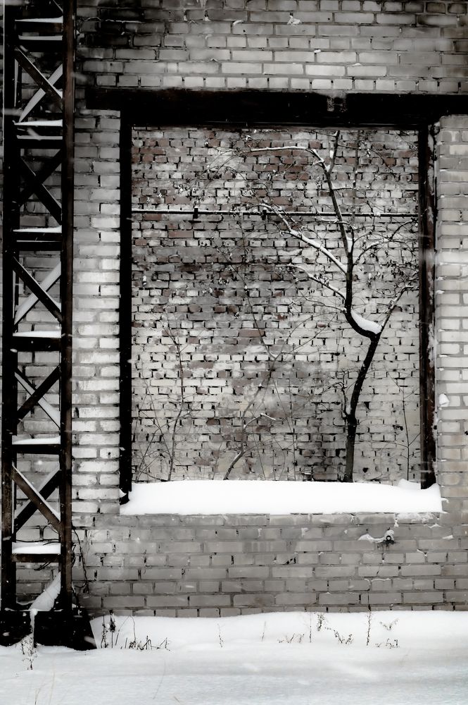 Photograph by Сергей Вальков