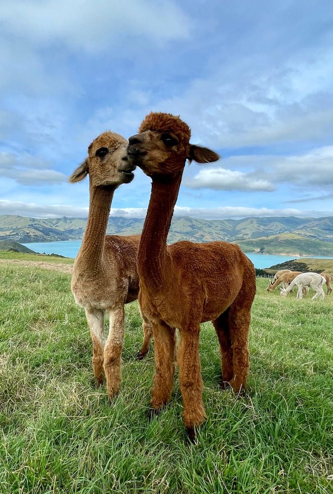 Photograph by Марина