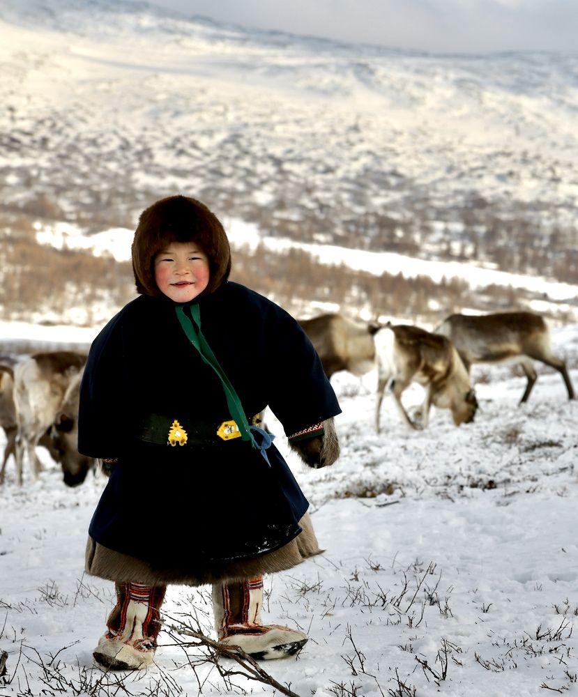 Юный оленевод