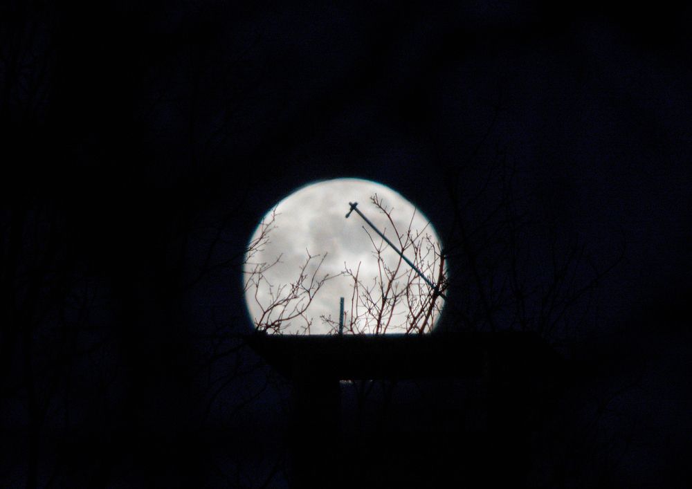 Photograph by Сергей Симаков