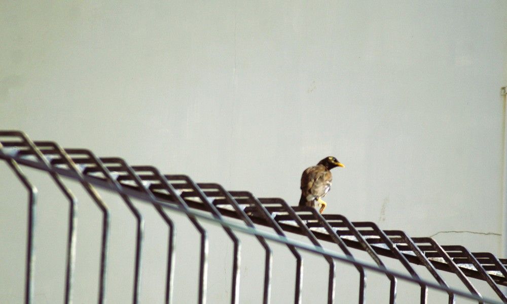 Фотография автора Nadarajan Lakshmanswamy