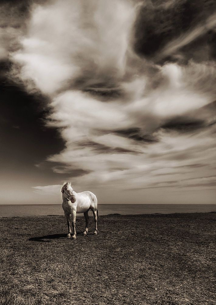 Photograph by Roberto Hagemann