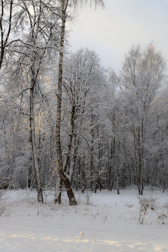 Photograph by Oxana Maiorova
