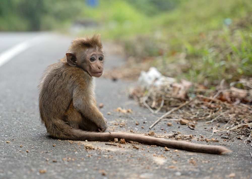 Photograph by Криволуцкий Вячеслав