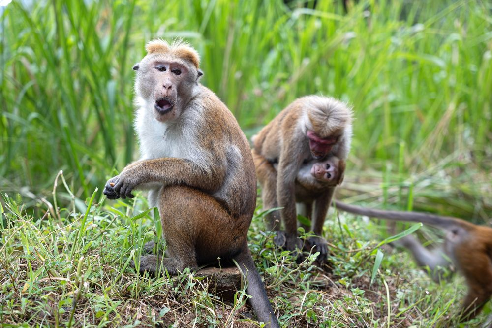 Photograph by Криволуцкий Вячеслав