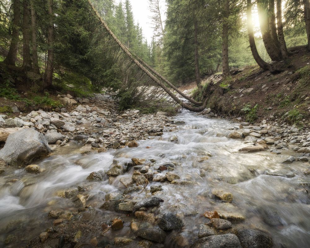 Фотография автора Татьяна Добровольская