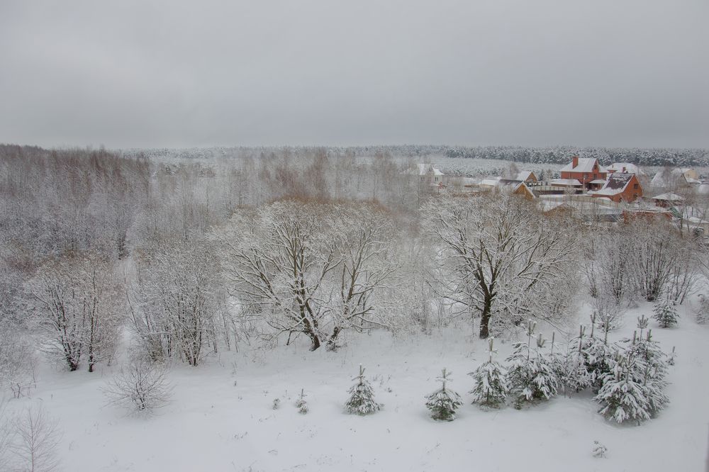 Photograph by Елена Царёва