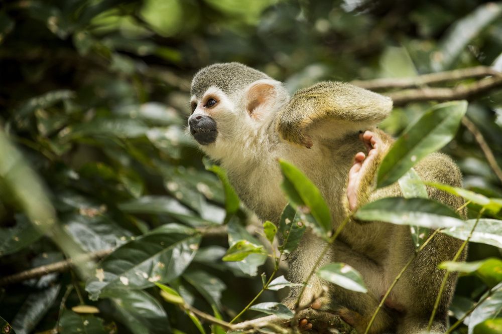 Photograph by JUAN BERNATE