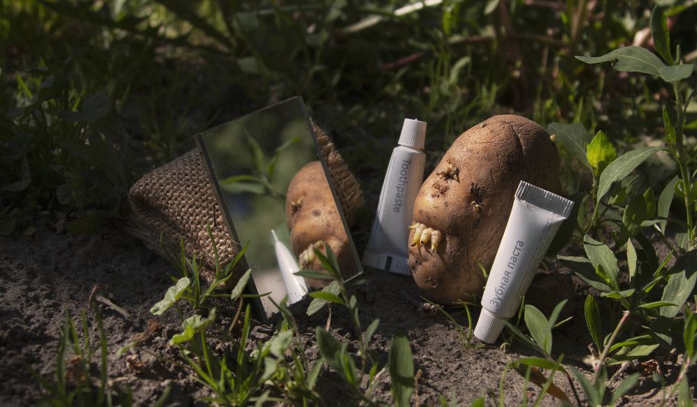 Весенняя красота