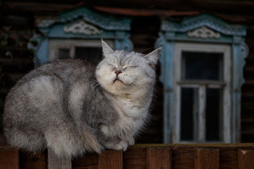 Photograph by Азат Кадиров