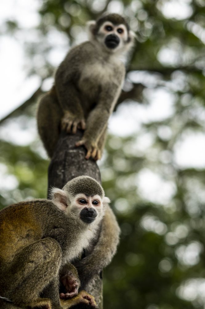 Photograph by JUAN BERNATE