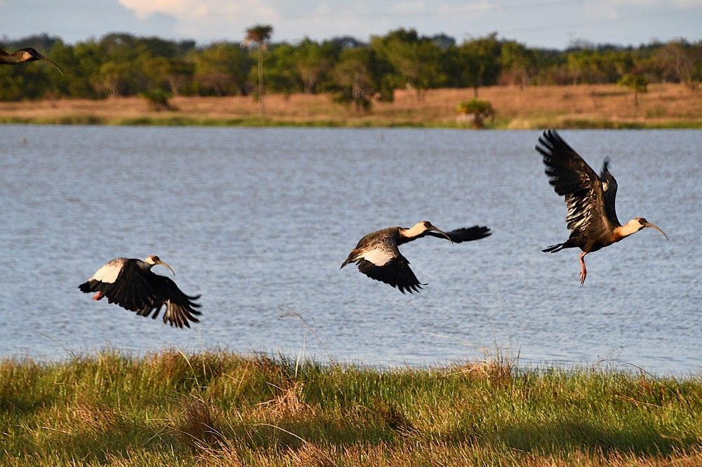 Photograph by Marzio Fattorini