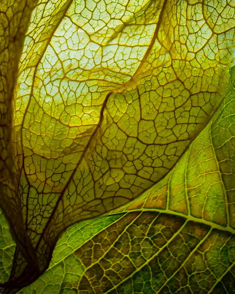 Photograph by Олеся Заяц