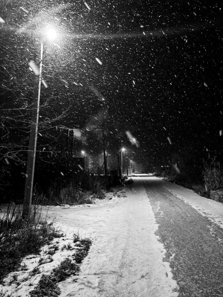 Photograph by BorzIN