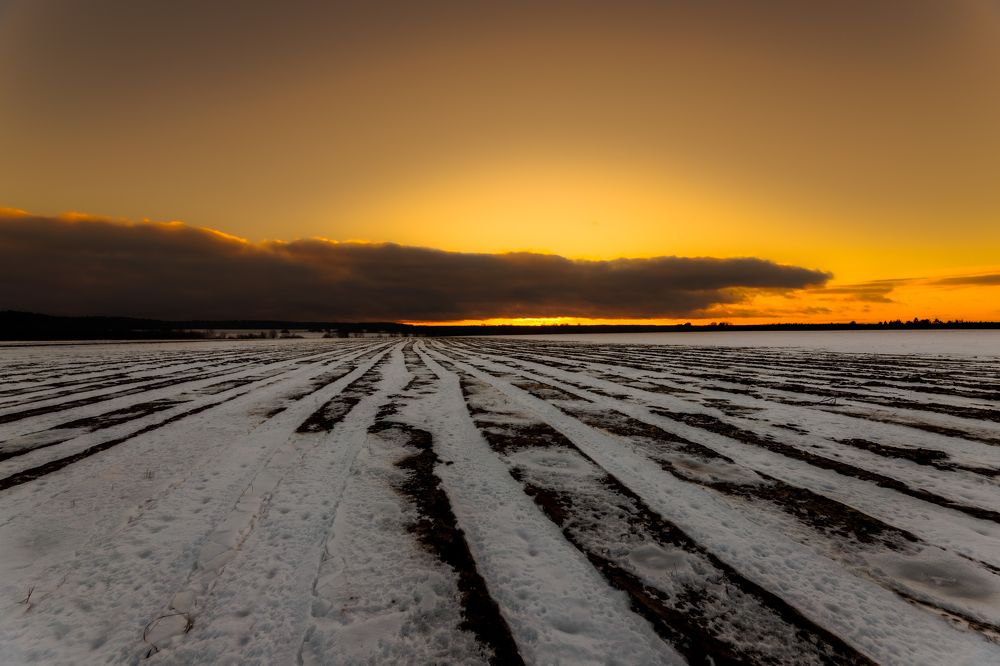 Photograph by Vladimir Petukhov