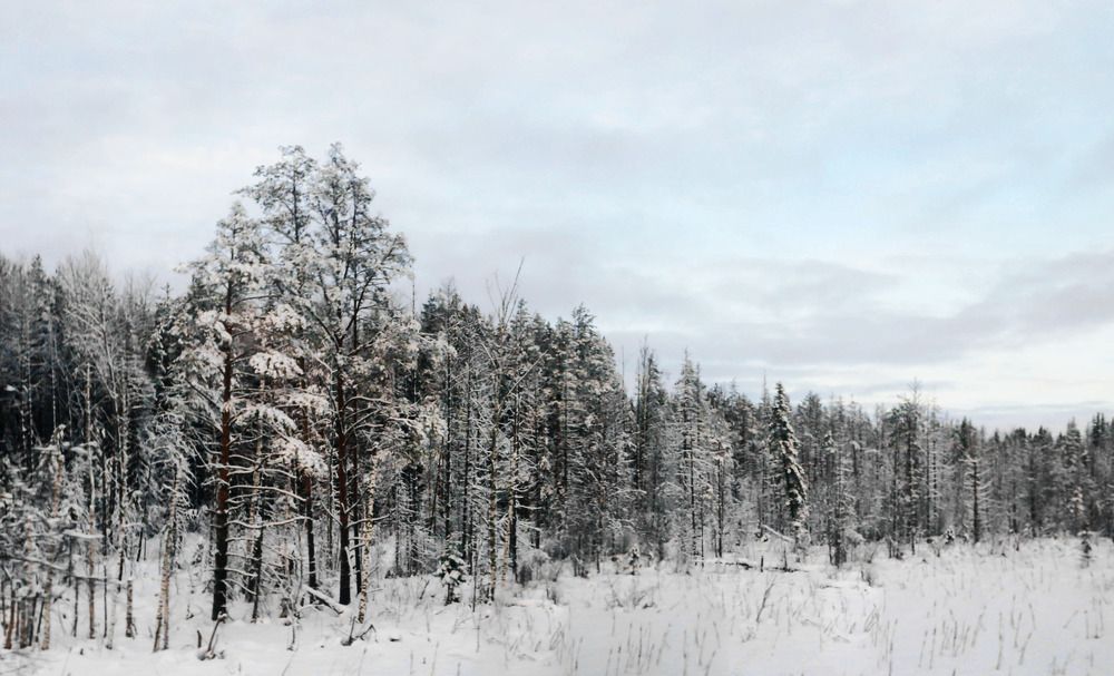 Фотография автора Дмитрий Климов