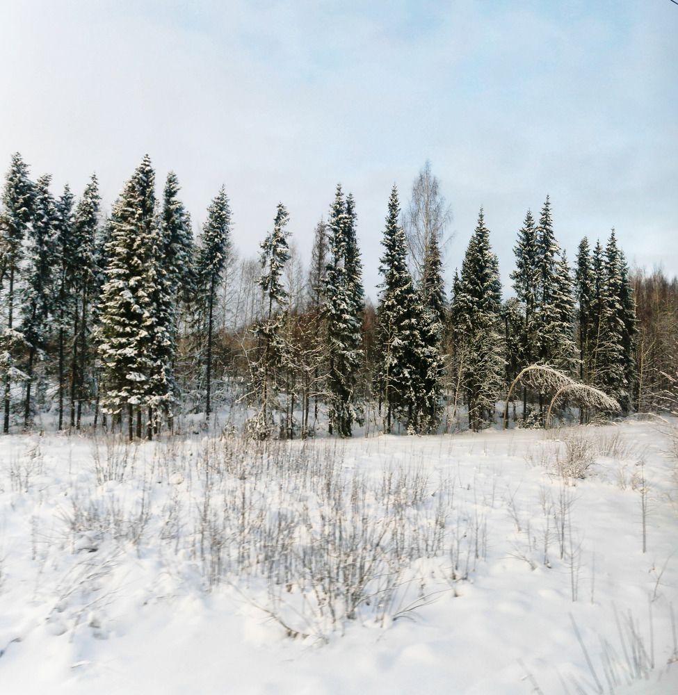 Фотография автора Дмитрий Климов