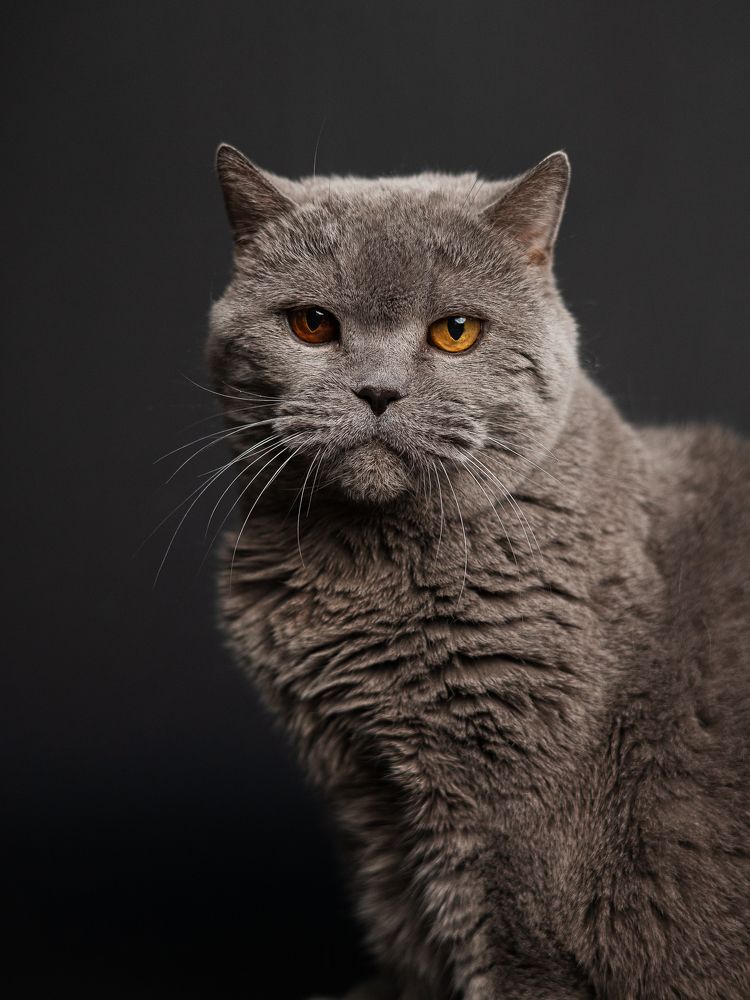 Photograph by Анна Кузнецова