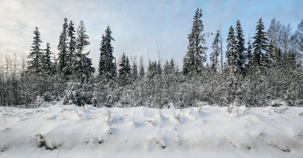 Фотография автора Дмитрий Климов