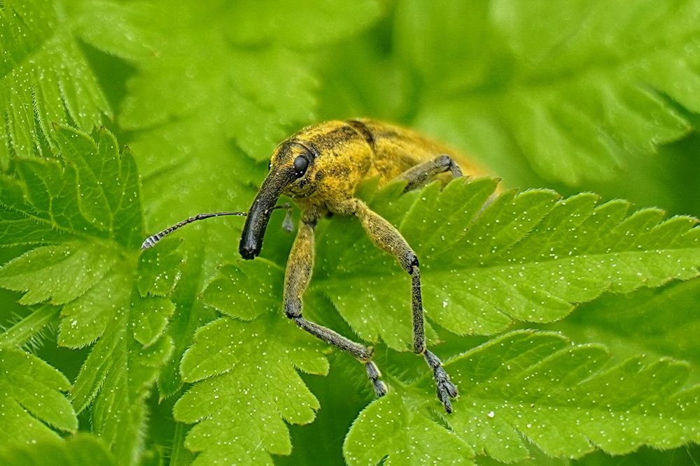 Photograph by Галина Кан