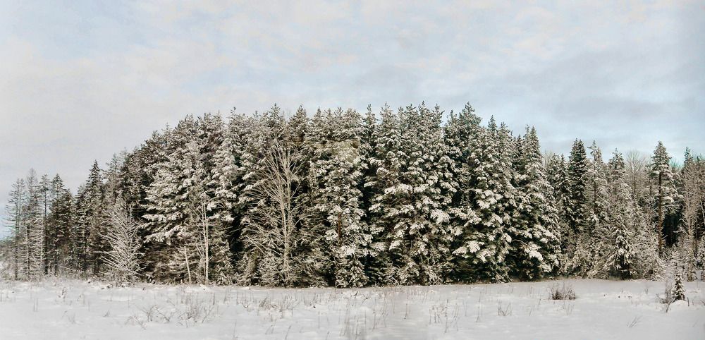 Фотография автора Дмитрий Климов