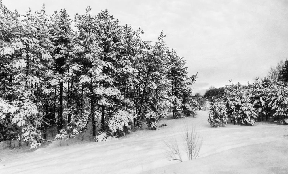 Фотография автора Дмитрий Климов