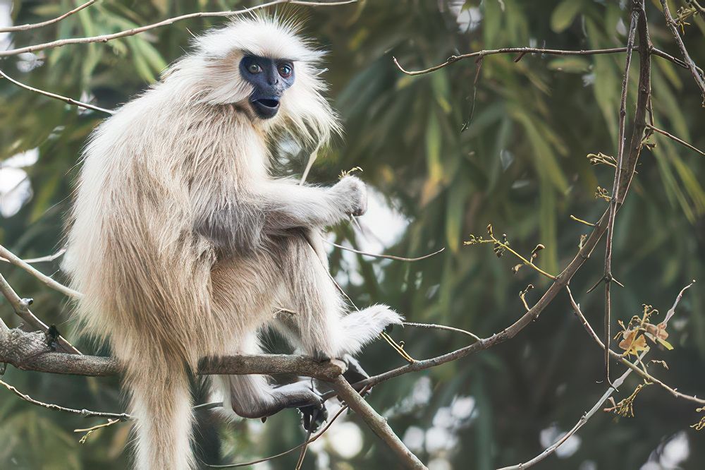 Фотография автора Bhupender Gupta