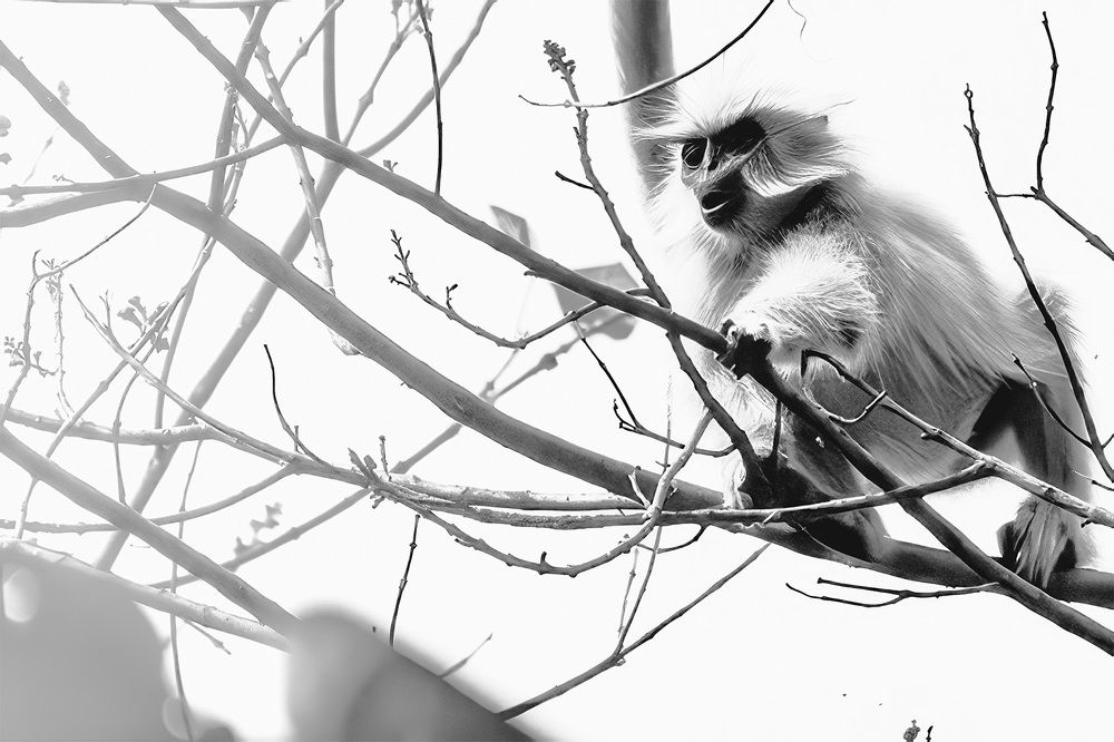 Фотография автора Bhupender Gupta