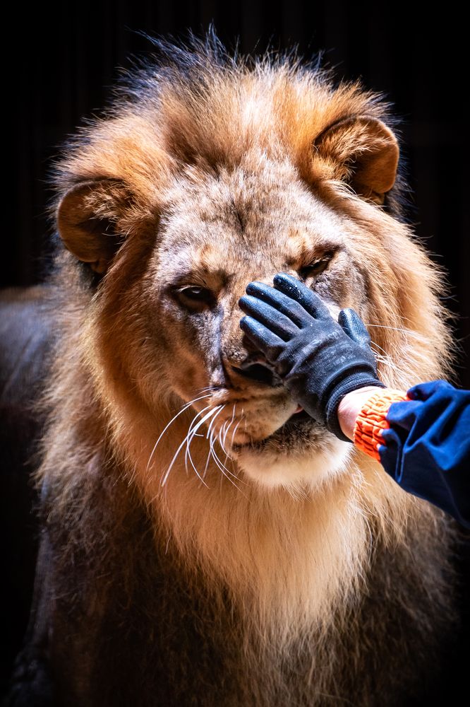 Photograph by Ольга Пачина