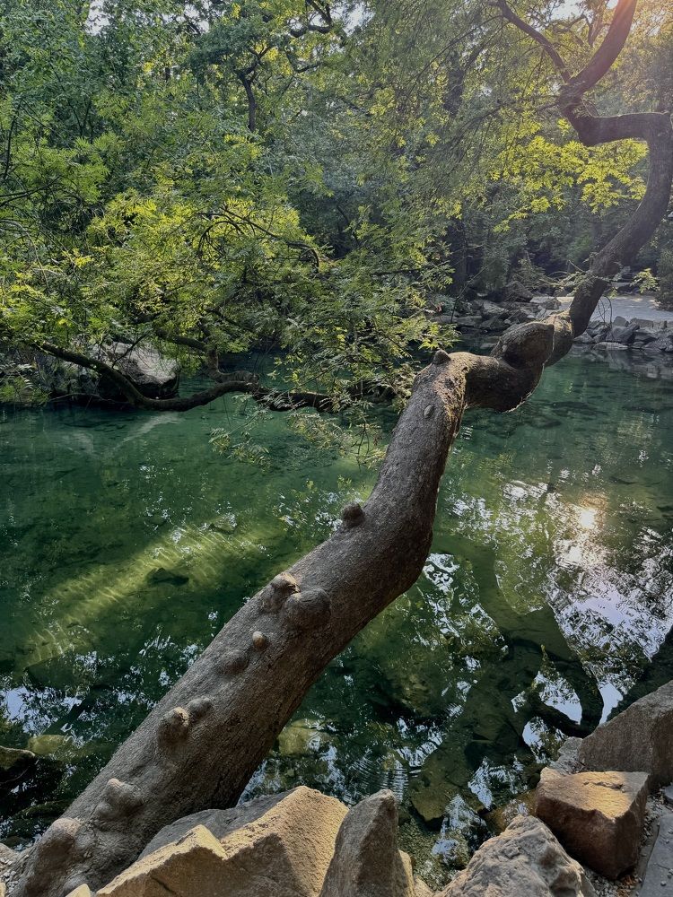 Photograph by Оксана Малышева